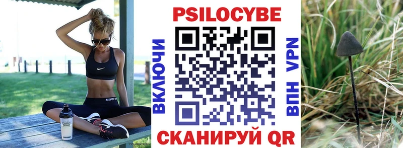 Купить  Инза  Псилоцибиновые грибы Psilocybine cubensis 